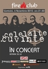 Concert Celelalte Cuvinte in Fire Club