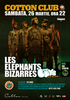 Concert Les Elephants Bizarres in Cotton Club Sibiu