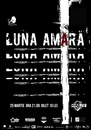 Concert Luna Amara in Irish Music Pub