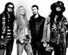 WHITE ZOMBIE