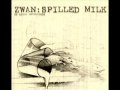 Zwan