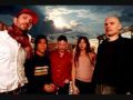 Zwan
